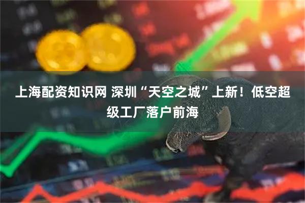 上海配资知识网 深圳“天空之城”上新！低空超级工厂落户前海