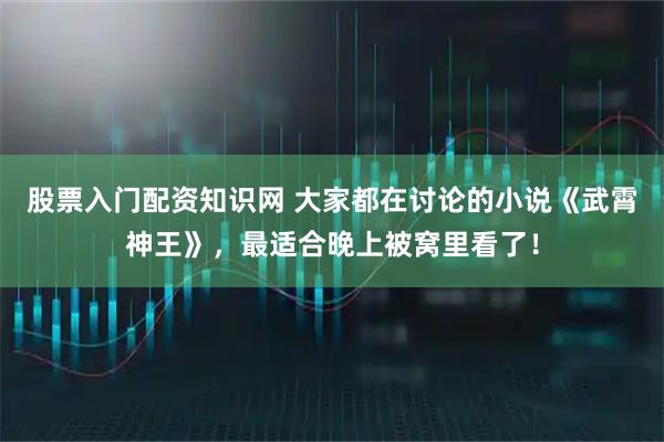 股票入门配资知识网 大家都在讨论的小说《武霄神王》，最适合晚上被窝里看了！