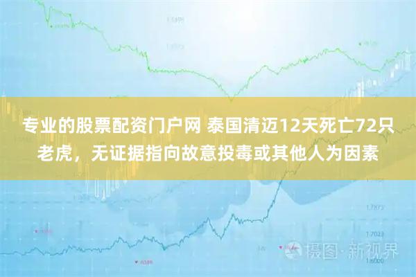 专业的股票配资门户网 泰国清迈12天死亡72只老虎，无证据指向故意投毒或其他人为因素