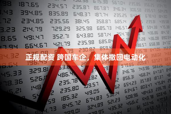 正规配资 跨国车企，集体撤回电动化