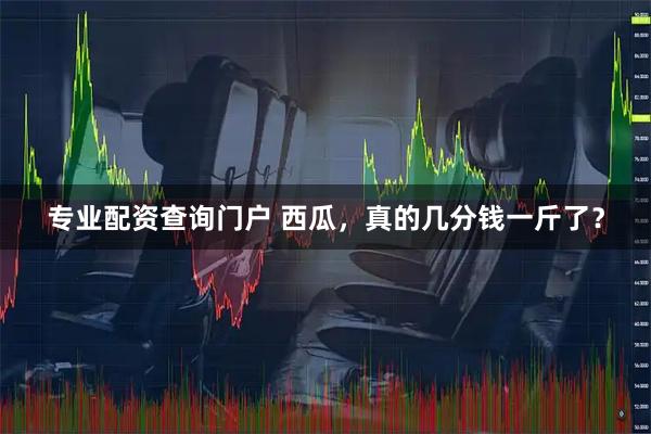 专业配资查询门户 西瓜，真的几分钱一斤了？